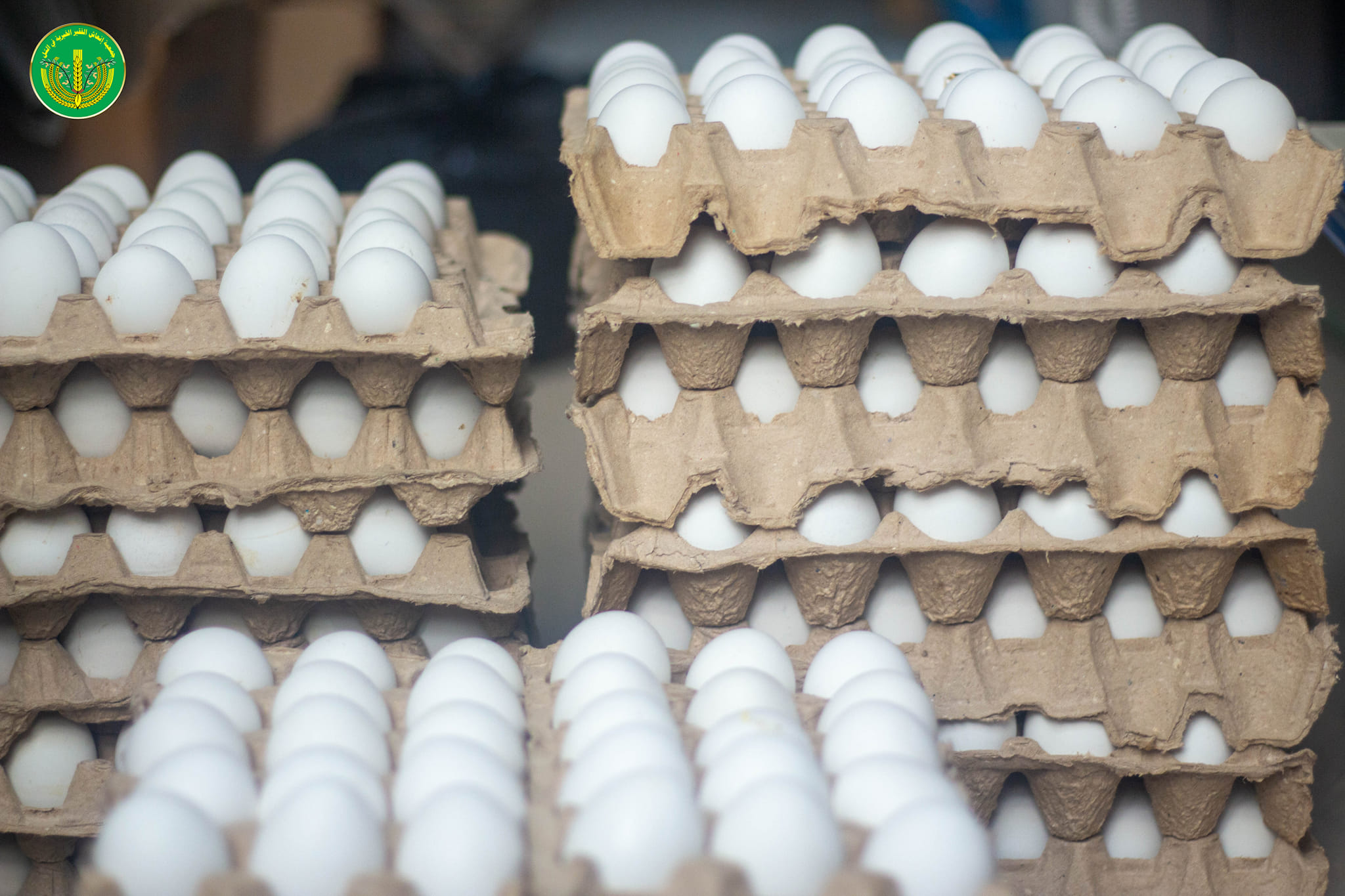 الانتهاء من توزيع المساعدات المالية والعينية لشهر 4 للمدرجين والأيتام في الجمعية